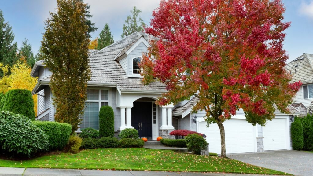 Top Tips to Get Your Landscaping Ready for Winter