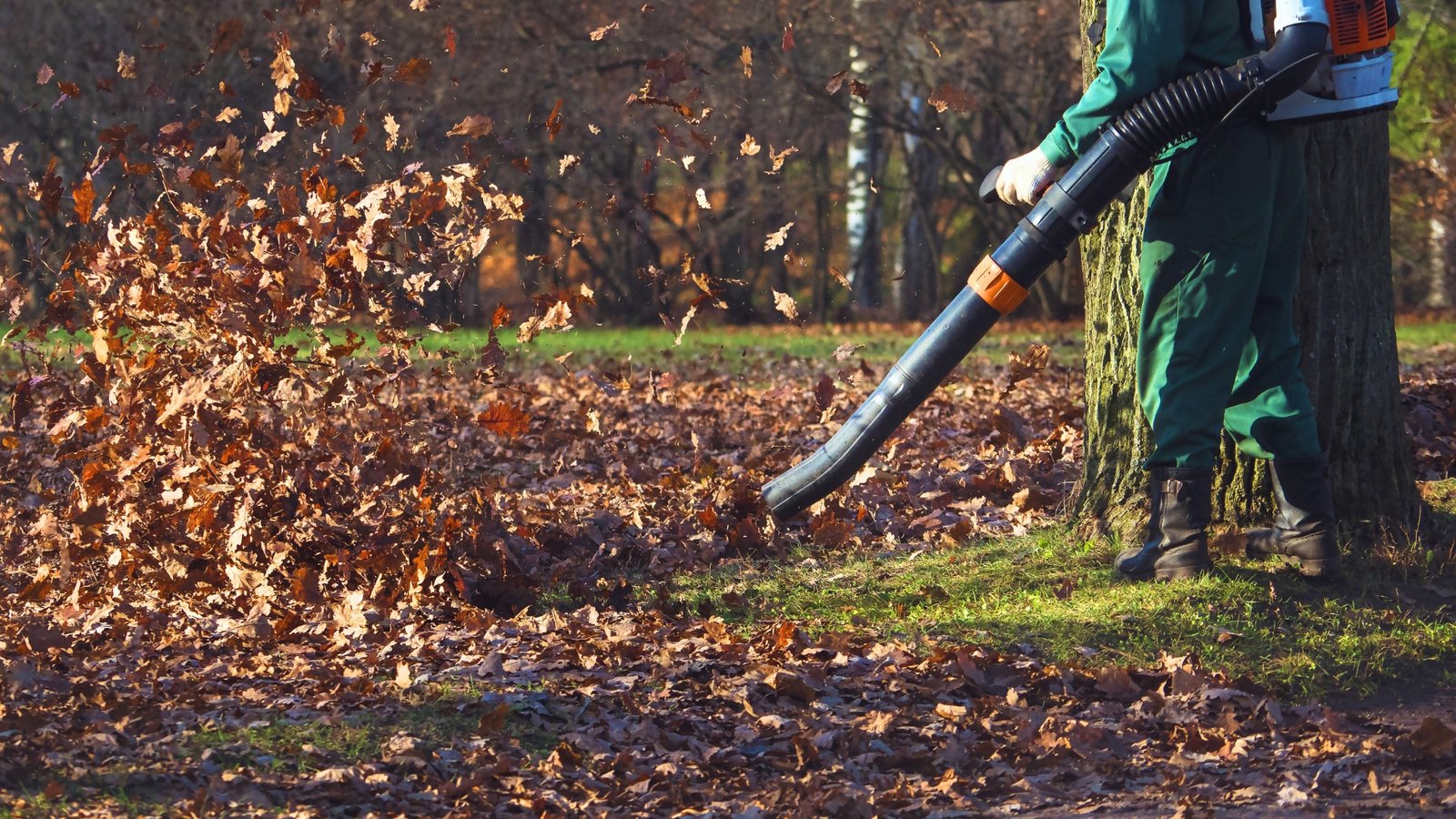 Thanksgiving Weekend Leaf Removal Guide