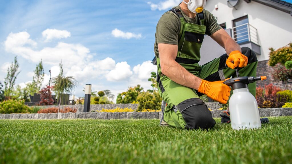 The Ultimate Pre-Emergent Guide for Tulsa Homes