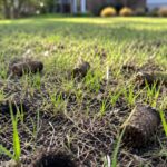 when-to-aerate-and-overseed-in-Tulsa