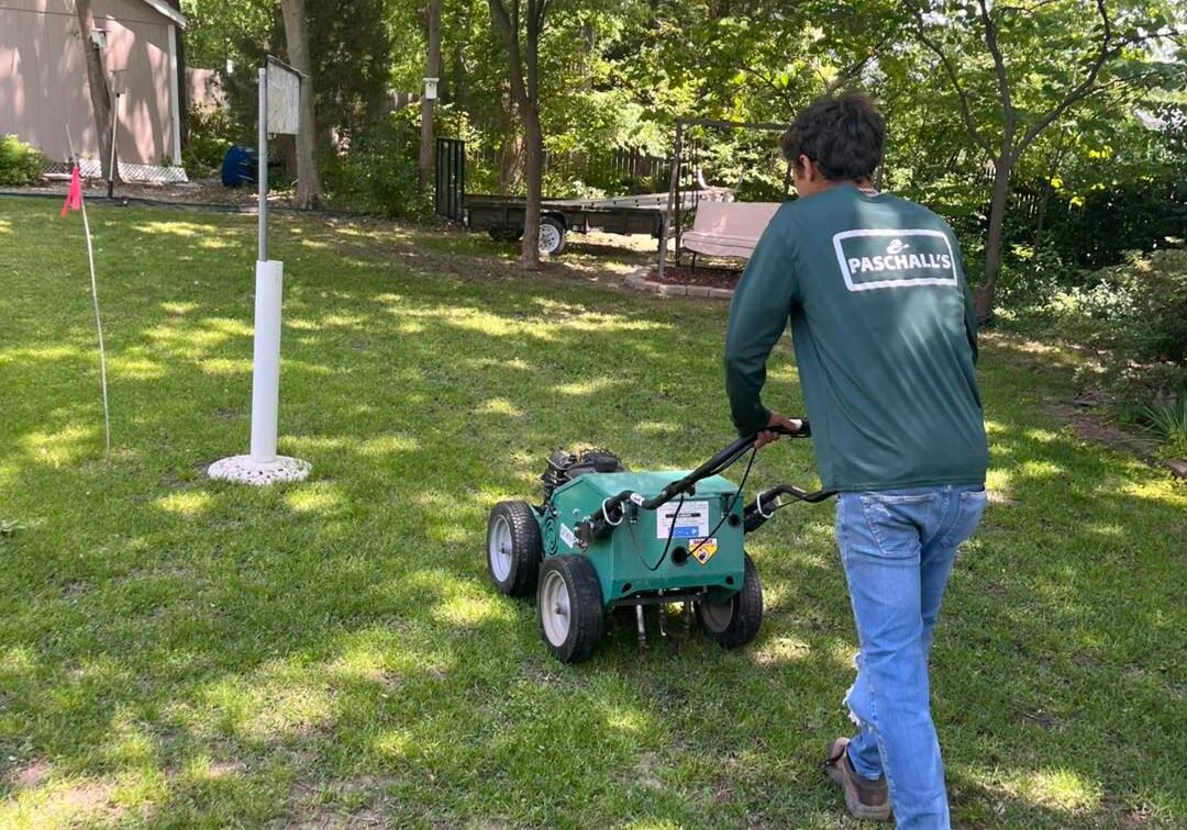 498713386_1089202183254880_6461086461065213220_n 498713386_1089202183254880_6461086461065213220_n